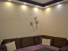 Naklejki ścienne brązowe dmuchawce. 