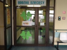 Naklejka na szybę motylki, motyle. 