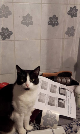 Naklejka na kafelek kwiatek