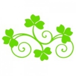 Naklejka na kafle Koniczynka K23