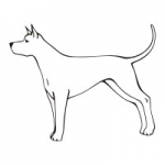 Naklejka ozdobna Pies M31