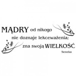 Naklejka na ścianę cytat Seneka M12