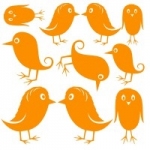 Naklejki na ścianę Zestaw ptaszków M25