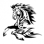 Naklejka na ścianę Koń M11