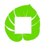 Naklejka pod włącznik liść nr M68