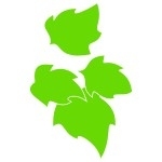 Naklejka na płytki Liście K22