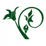 Naklejka na płytkę Motyw roślinny K27