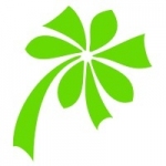 Naklejka na płytkę Motyw kwiatowy K12