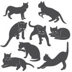 Naklejki na ścianę Zestaw kotów M32