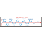 Naklejka na ścianę sinusoida Krzyżanowskiego nr K48