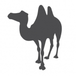 Naklejka ścienna Wielbłąd M12