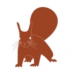 Naklejka Wiewiórka M21