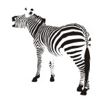 Naklejka welurowa Zebra W2