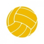 Naklejka ścienna Piłka siatkowa M28