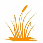 Naklejka na ścianę Tatarak M50