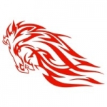 Naklejka ścienna Ognisty koń M12