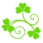 Naklejka na kafelek Koniczyna K19