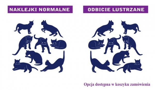 Naklejki na ścianę Zestaw kotów M32