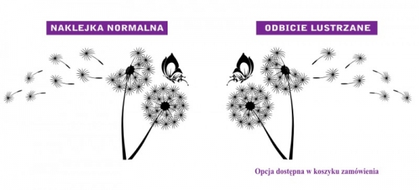 Naklejki z weluru na ścianie lateksowej