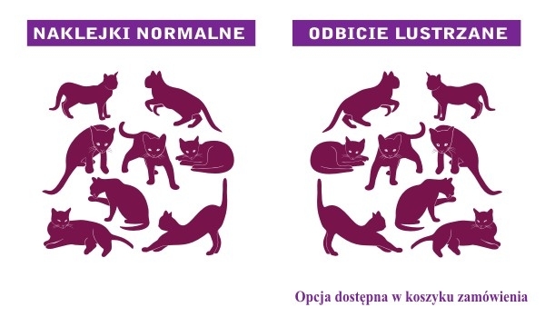 Naklejki welurowe z kotami na ścianę w odbiciu lustrzanym
