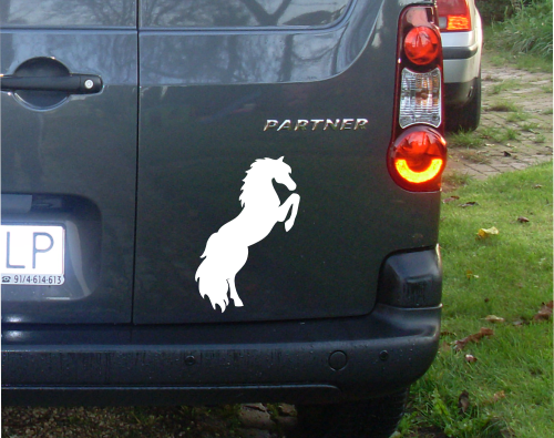 Naklejka na auto Koń A10