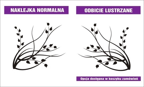 Naklejki na ścianie lateksowej w różnych kolorach i wymiarach