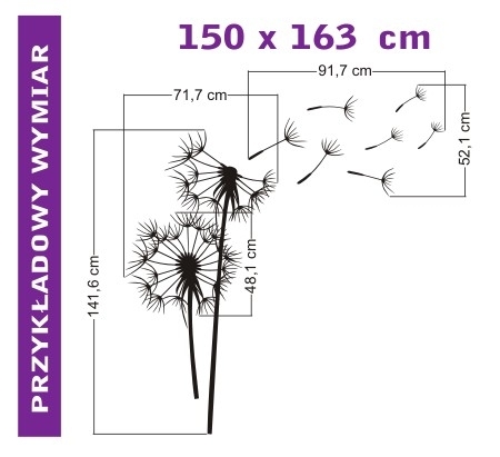 Duże naklejki z dmuchawcami