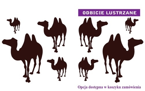 Wielbłądy naklejki w odbiciu lustrzanym