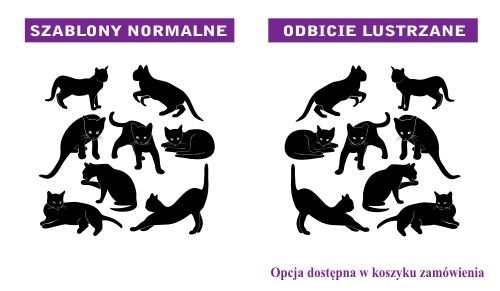 Szablony do malowania na ścianę koty i kotki w różnych kolorach