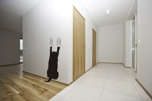 Welurowa naklejka kotek na ścianę do przedpokoju 