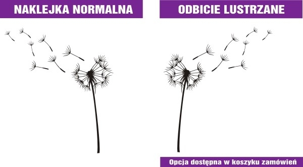 Różne wymiary i kolory naklejek ściennych z dmuchawcami 