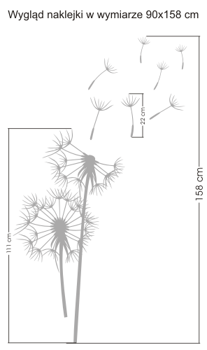 Dmuchawce i pyłki na szybie