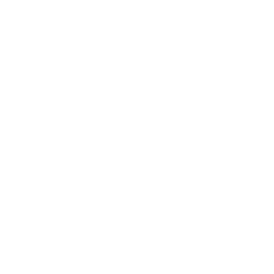 Szablon dekoracyjny Delfin S14