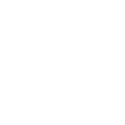 Szablon ścienny Ornament S22