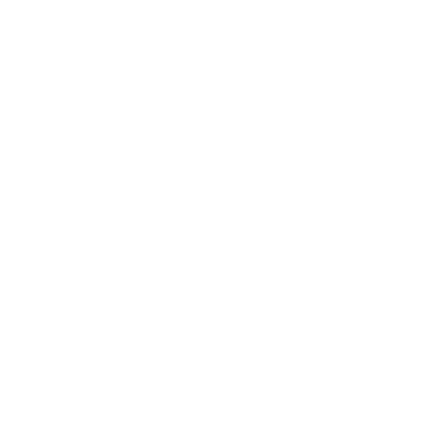 Szablon malarski Kot S21