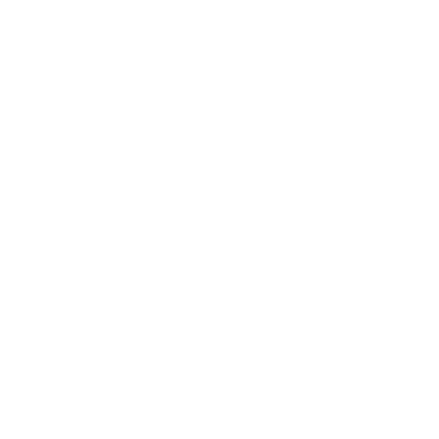 Szablon do malowania Palma S19