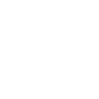 Szablon na ścianę Liście Monstery S40