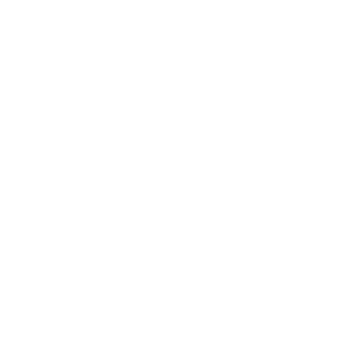 Szablony ścienne Wielbłądy S19