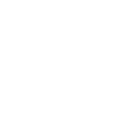 Szablon do pomalowania Biedronka S4