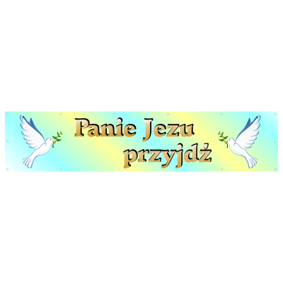 Baner na komunię Panie Jezu przyjdź B2