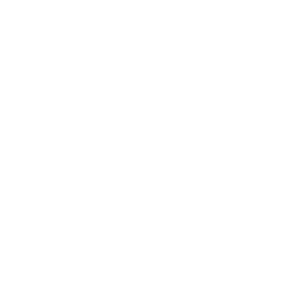 Szablon dekoracyjny Ognisty tygrys S2